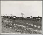 Turpentine camp. Godwinsville, Georgia