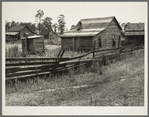 Careyville, northern Florida. The mill closed down January 1, 1937 and the occupants of these houses were dispersed