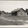 Careyville, northern Florida. The mill closed down January 1, 1937 and the occupants of these houses were dispersed