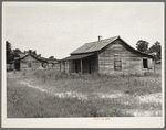 Careyville, northern Florida. The mill closed down January 1, 1937 and the occupants of these houses were dispersed