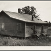 Careyville, northern Florida. The houses are deserted since the mill closed