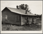 Careyville, northern Florida. The houses are deserted since the mill closed