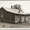 Careyville, northern Florida. The houses are deserted since the mill closed