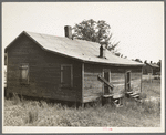 Careyville, northern Florida. The houses are deserted since the mill closed