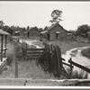 Careyville, northern Florida. The houses are deserted since the mill closed
