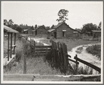 Careyville, northern Florida. The houses are deserted since the mill closed