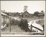 Careyville, northern Florida. The houses are deserted since the mill closed