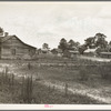 Careyville, Florida. A sawmill village, abandoned after the closing of the mill