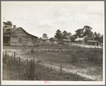 Careyville, Florida. A sawmill village, abandoned after the closing of the mill