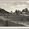 Careyville, Florida. A sawmill village, abandoned after the closing of the mill