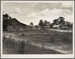Careyville, Florida. A sawmill village, abandoned after the closing of the mill