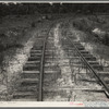 The lumber mill closed, the track is being torn up and the rails sent to Japan along with other scrap iron from the mill. Careyville, Florida