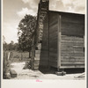 Home of family left stranded when the mill "cut out." Near Kiln, Mississippi