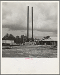 Turpentine plant near Marianna, Florida