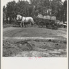 Hauling turpentine gum from the woods to the still near Homerville, Georgia