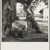 Stranded residents of Careyville, Florida, who formerly obtained a livelihood from the lumber industry