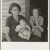 Landless family. Macon County, Georgia