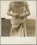 Farm boy with sack full of boll weevils which he has picked off of cotton plants. Macon County, Georgia