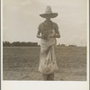 Farm boy with sack full of boll weevils which he has picked off of cotton plants. Macon County, Georgia
