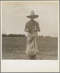 Farm boy with sack full of boll weevils which he has picked off of cotton plants. Macon County, Georgia