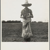 Farm boy with sack full of boll weevils which he has picked off of cotton plants. Macon County, Georgia
