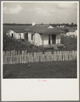 Cabin of sugarcane worker. Bayou La Fourche, Louisiana