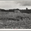 Typical owner-operated small farm of Greene County, Georgia