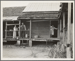 Home of farmer who has raised cotton for fifty years on his own land. Greene County, Georgia