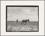 The cotton sharecropper's unit is one mule and the land he can cultivate with a one-horse plow. Greene County, Georgia