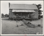 Landless family of cotton sharecroppers, Macon County, Georgia. For their labor they receive half the crop they produce, and the equivalent of ten dollars a month "furnish" (credit) from the landlord