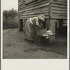 Washing facilities on a Greene County, Georgia, tenant farm