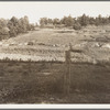 Erosion near Lawrenceville, Georgia. This field has been terraced, but not cultivated in the last fifteen years