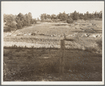 Erosion near Lawrenceville, Georgia. This field has been terraced, but not cultivated in the last fifteen years