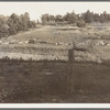 Erosion near Lawrenceville, Georgia. This field has been terraced, but not cultivated in the last fifteen years