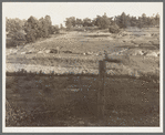 Erosion near Lawrenceville, Georgia. This field has been terraced, but not cultivated in the last fifteen years