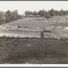 Erosion near Lawrenceville, Georgia. This field has been terraced, but not cultivated in the last fifteen years