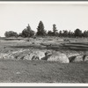 Erosion near Lawrenceville, Georgia. This field has been terraced, but not cultivated in the last fifteen years