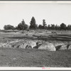 Erosion near Lawrenceville, Georgia. This field has been terraced, but not cultivated in the last fifteen years