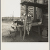 Child of sharecropper. Near Gaffney, South Carolina