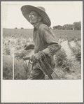South Carolina sharecropper