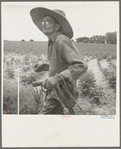 South Carolina sharecropper
