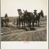 Colored plowboys on cotton plantation in Brazos riverbottoms coming in from the fields. "I never heard of Joe Louis." Texas