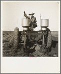 Tractor operator in western cotton fields. Works as wage laborer, earns one dollar per day. Childress County, Texas