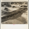 Leveling hummocks in the dust bowl. Coldwater District, thirty miles north of Dalhart, Texas