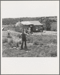 Home on "Scratch Hill," outside Atoka, Oklahoma. "I was offered twenty dollars for that house. I pay six dollars rent a year, and have some chickens and a garden"