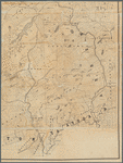 The New York wilderness