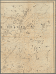 The New York wilderness