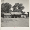 Mexican laborer's house and 1500 acre cantaloupe ranch adjacent to Mexican border. Imperial Valley, California