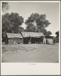 Mexican laborer's house and 1500 acre cantaloupe ranch adjacent to Mexican border. Imperial Valley, California