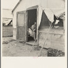 Refugee agricultural laborer on the roadside in Arizona, near the Casa Grande project (Farm Security Administration)